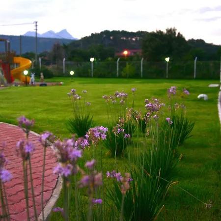 Hotel Dream Town Hotel&restaurant 3*
